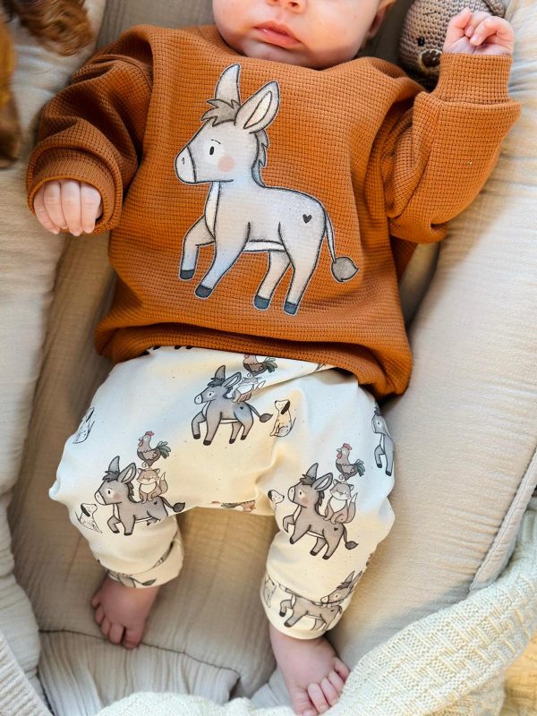 Bremer-Stadtmusikanten-Pullover_Hose_Baby_Outfit