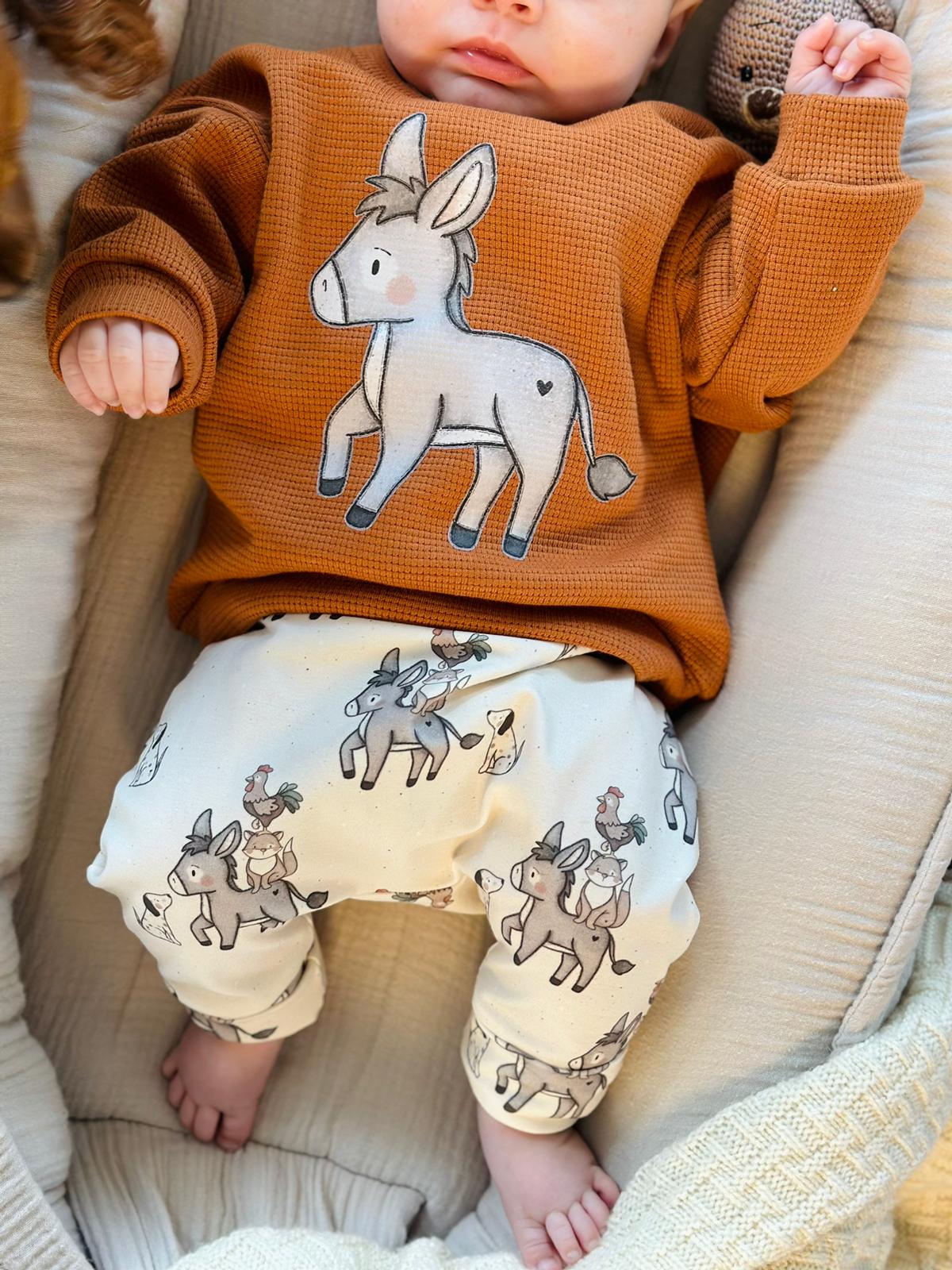 Bremer-Stadtmusikanten-Pullover_Hose_Baby_Outfit